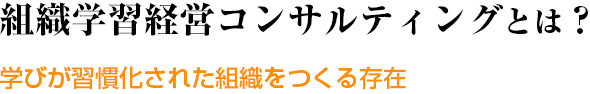 組織学習経営コンサルティングとは？